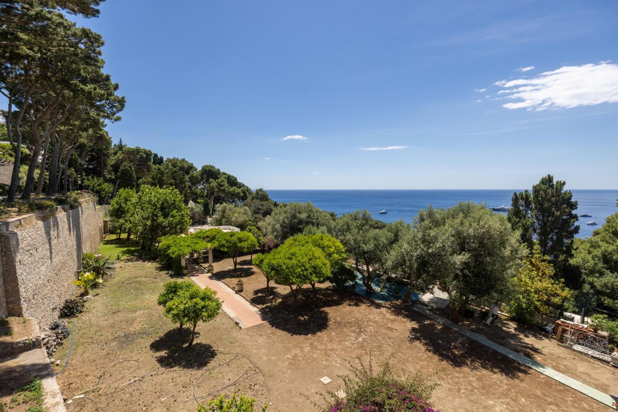 Oliveto Appartamento Capri